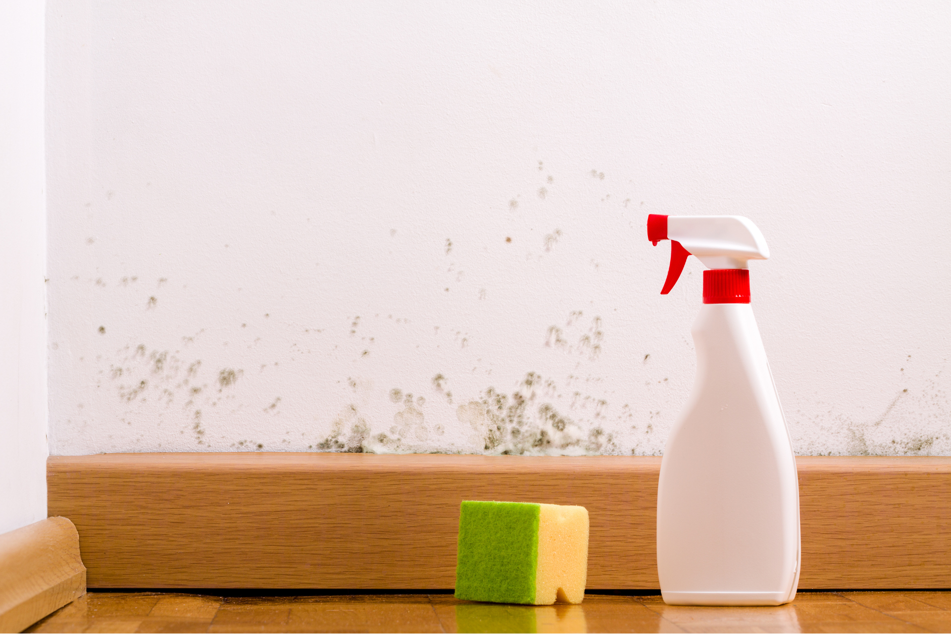 Black mould and cleaning products